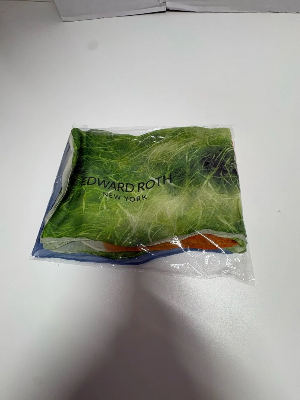 Edward Roth - New York -  Handmade Painted Silk Scarf - 78